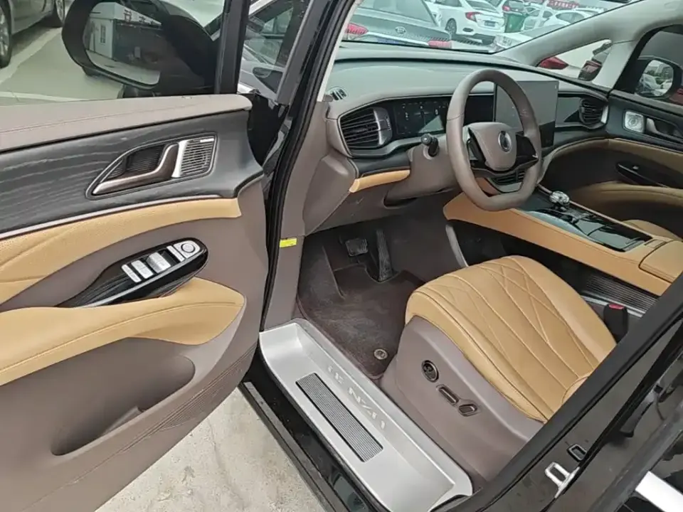 Denza Denza D9