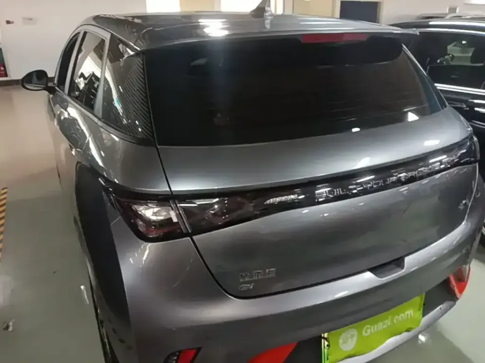 BYD Dolphin