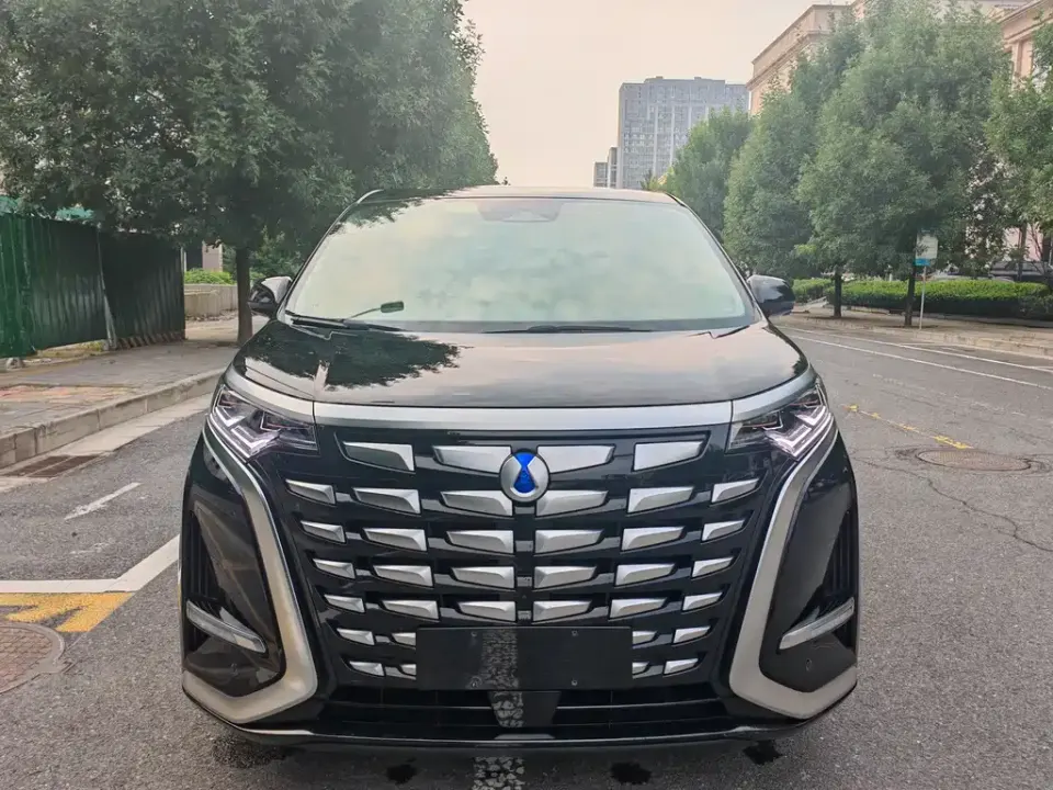 Denza Denza D9
