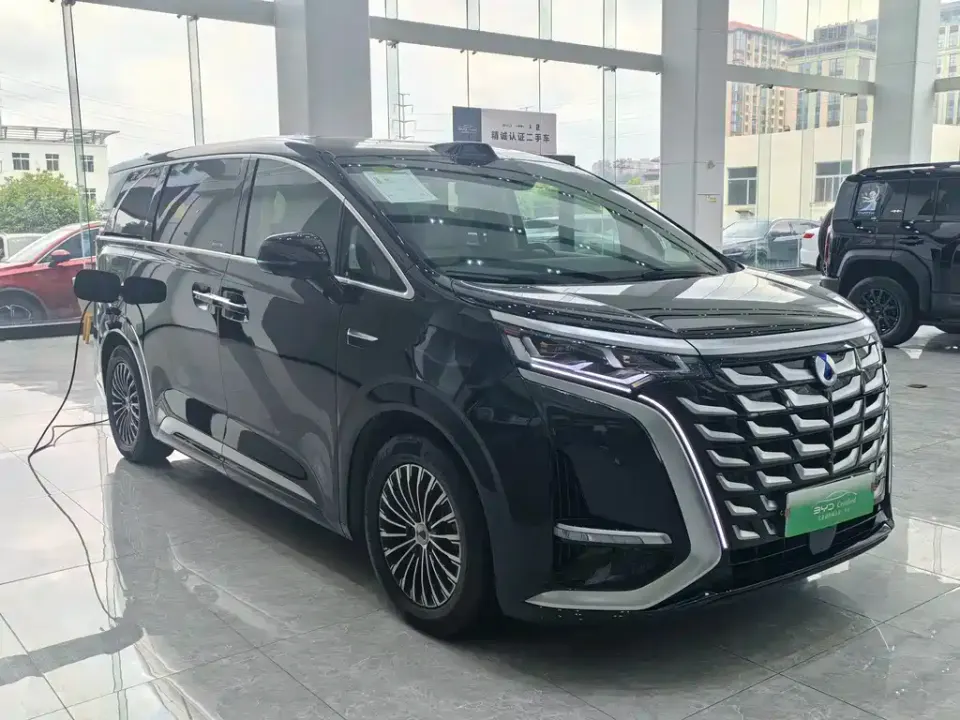 Denza Denza D9