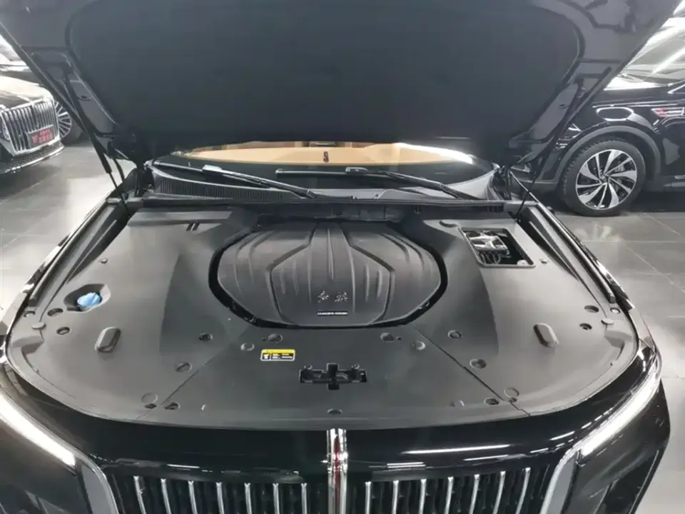 Hongqi Hongqi H9