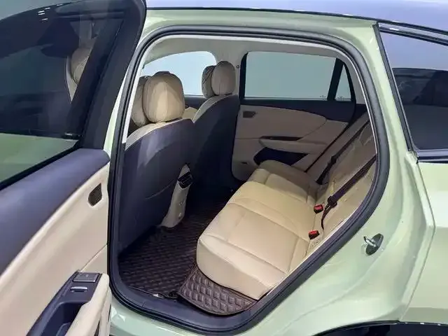 Hongqi Hongqi Tiangong 06