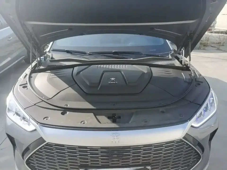 BYD PLUS New Energy