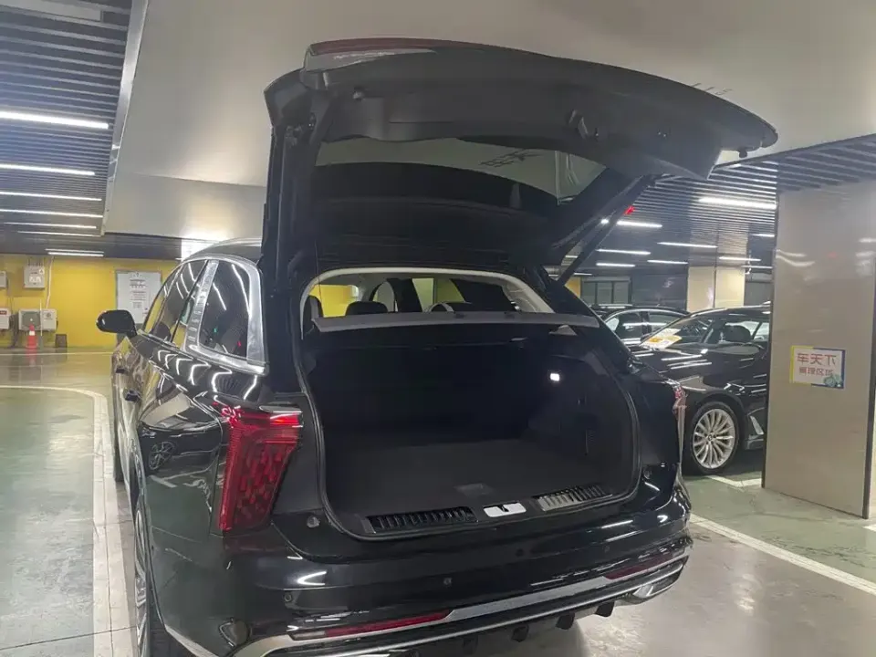Hongqi Hongqi E-HS9