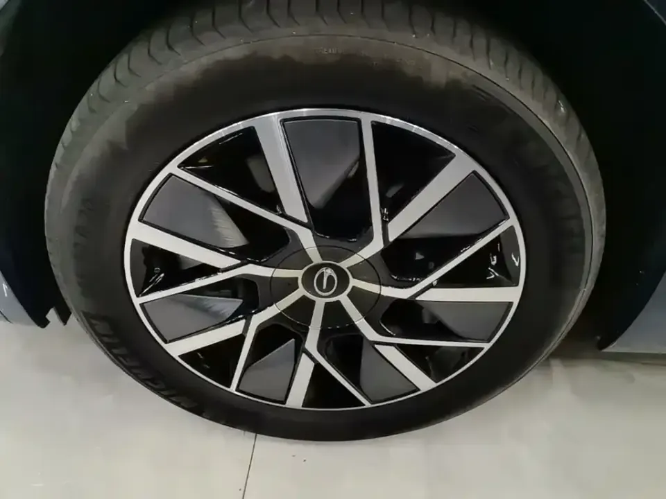GAC Trumpchi Xiangwang S9