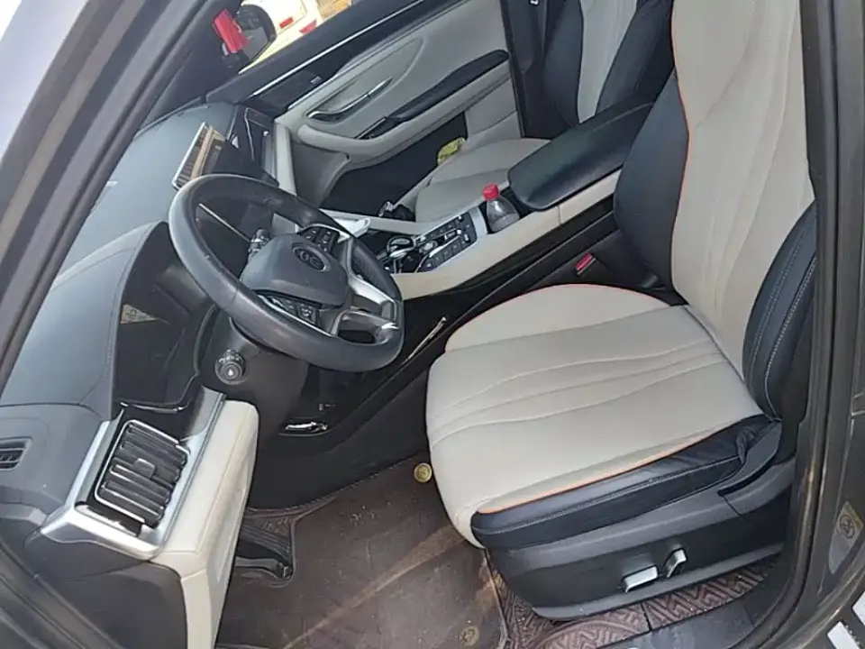 BYD PLUS New Energy