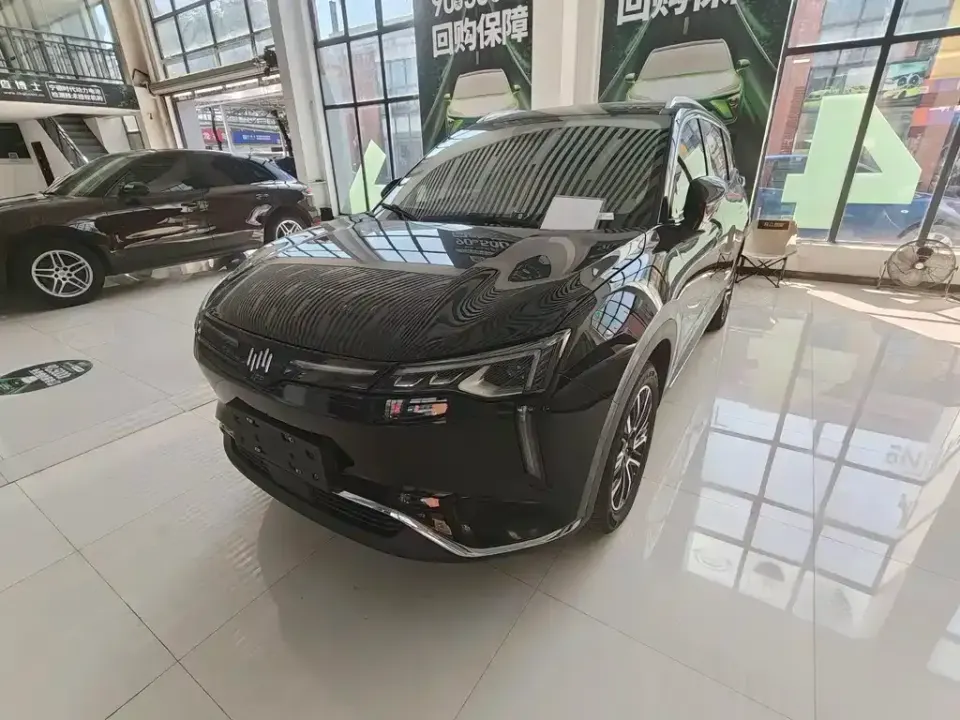 WM Motor W6