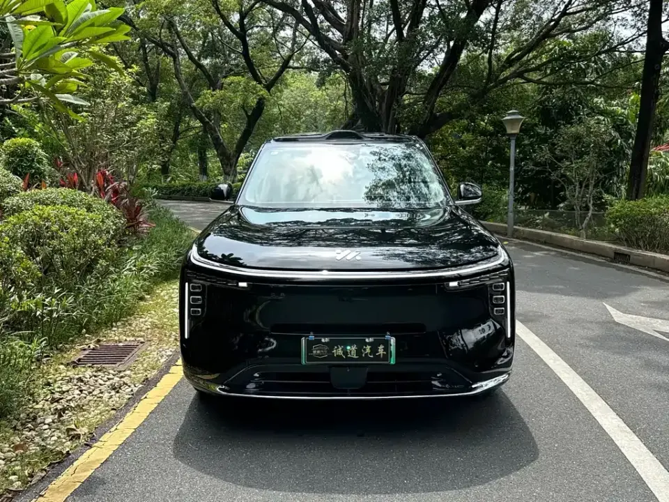 IM Motors IM LS9