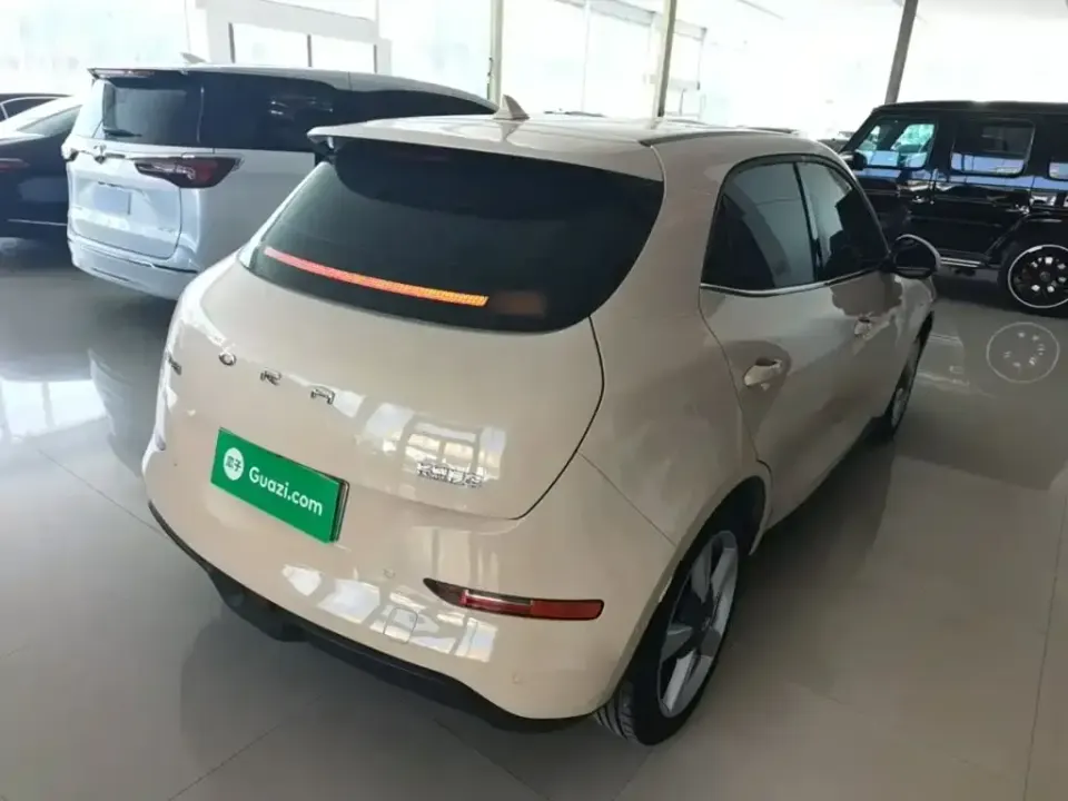 ORA Ora Good Cat
