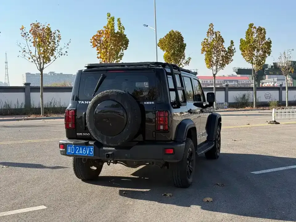 Tank 300