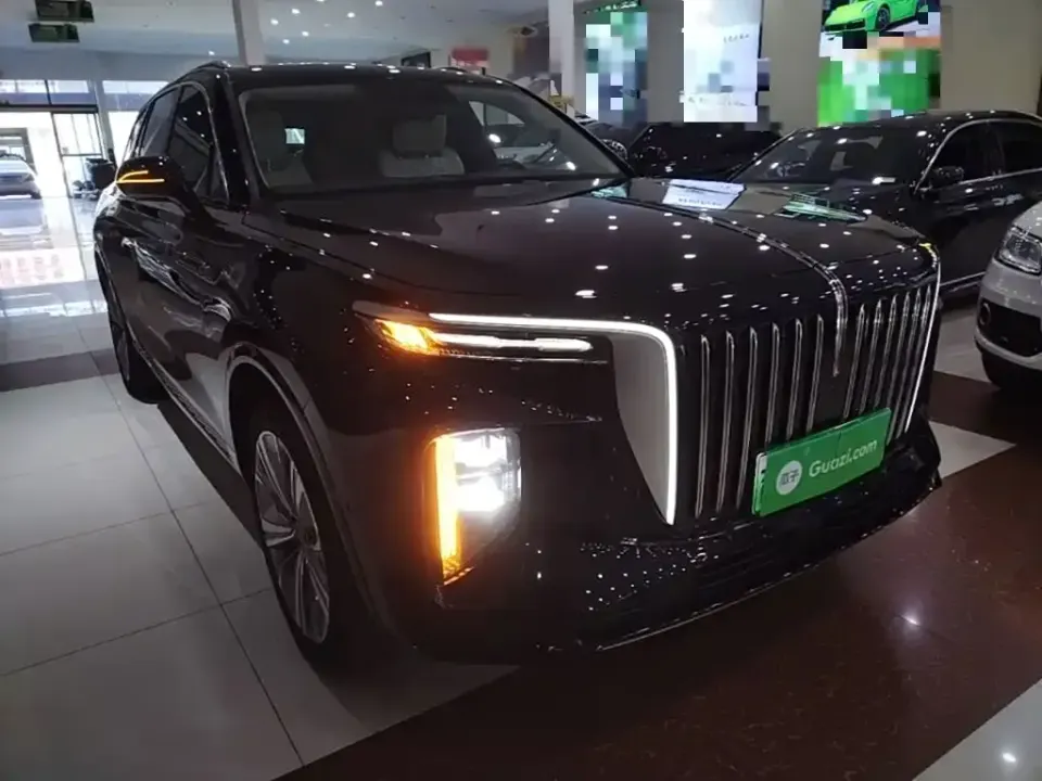Hongqi Hongqi E-HS9