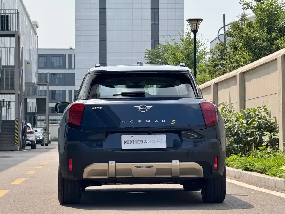 MINI MINI ACEMAN EV