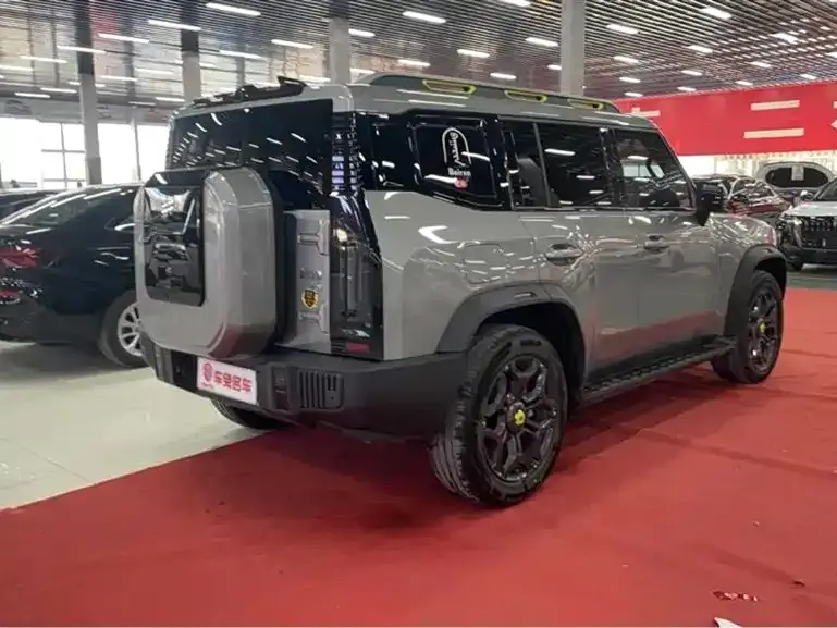 Shanhai Traveller C-DM