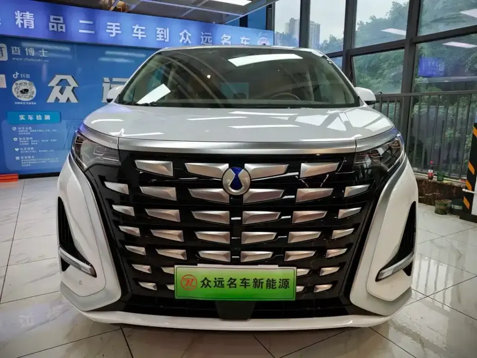 Denza Denza D9