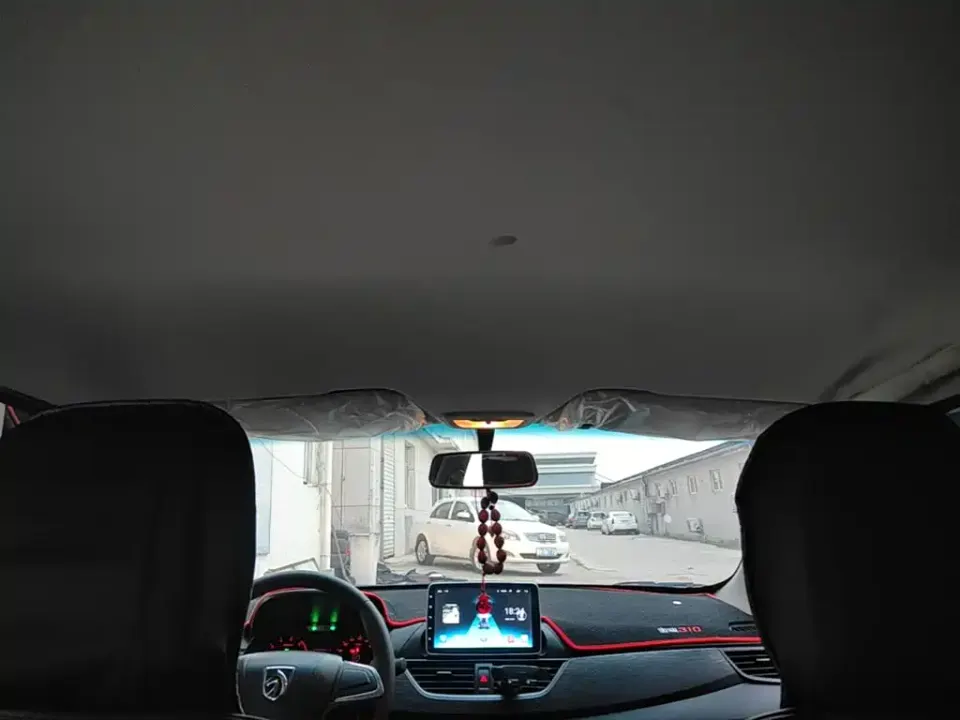 Baojun 310