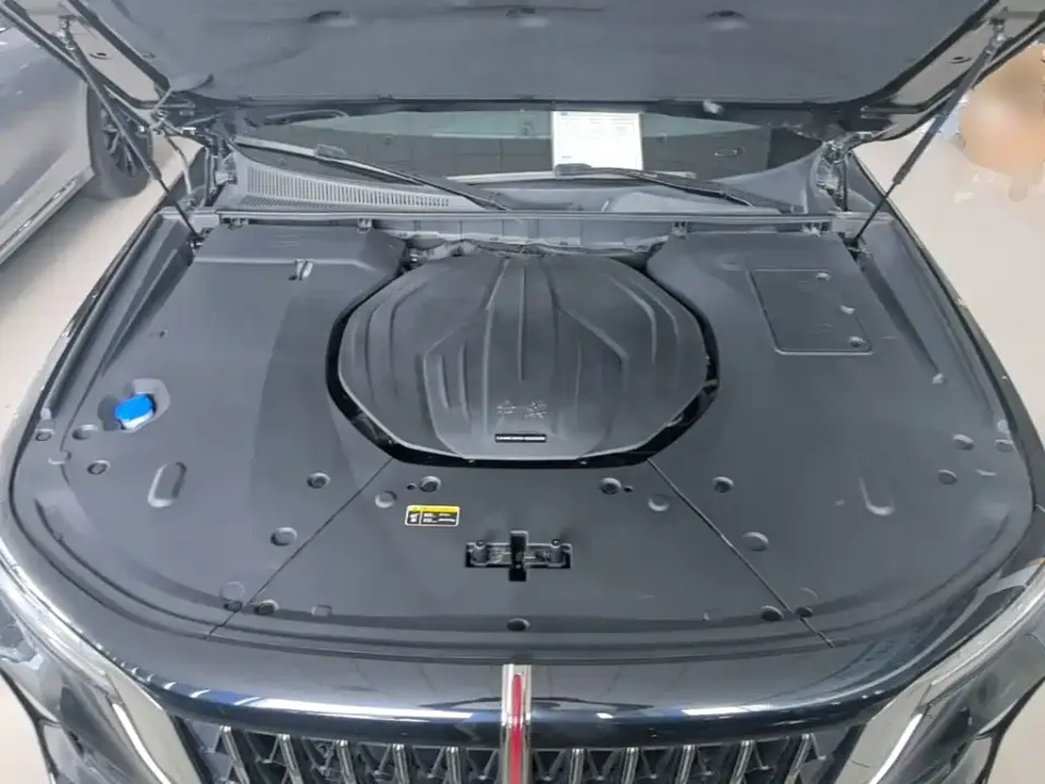 Hongqi Hongqi H9