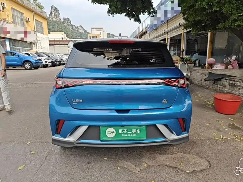 BYD Dolphin