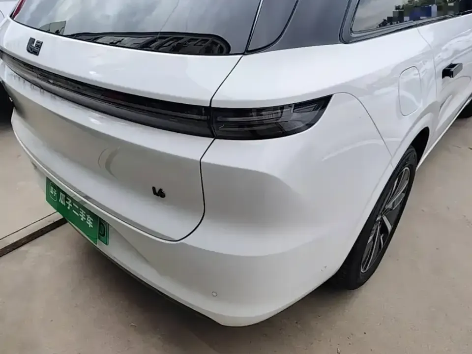 Li Li L6