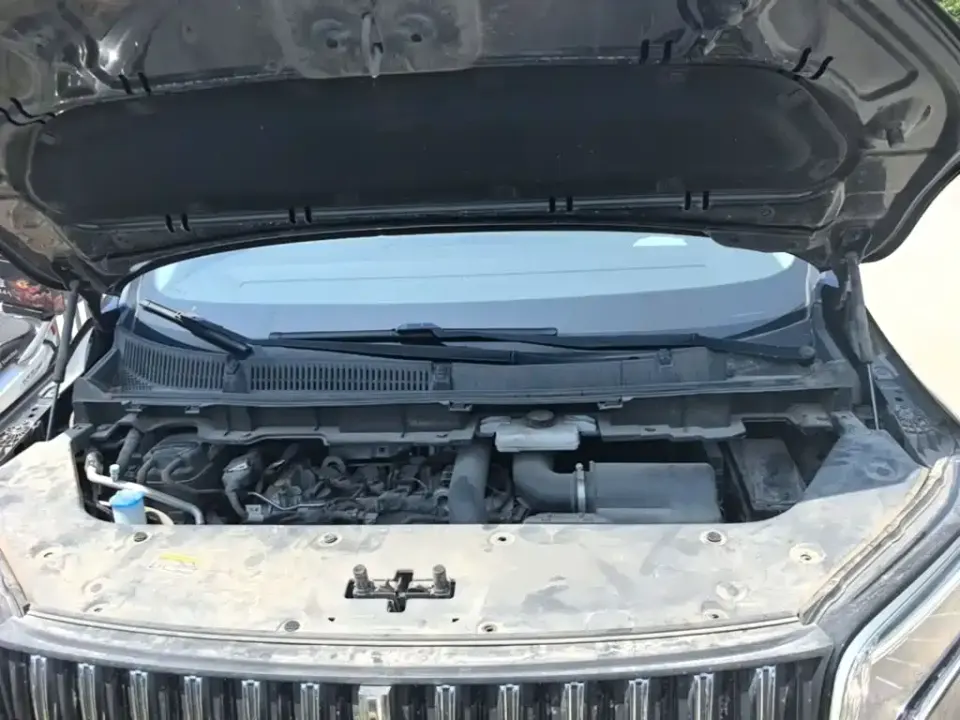Hongqi Hongqi HQ9