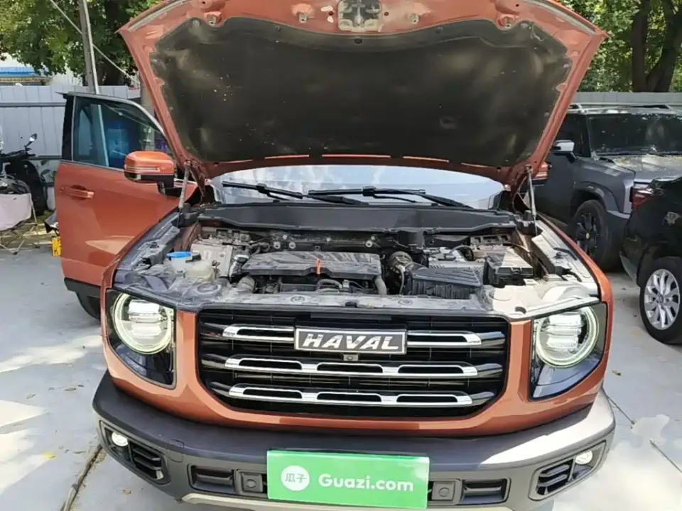 Haval Big Dog