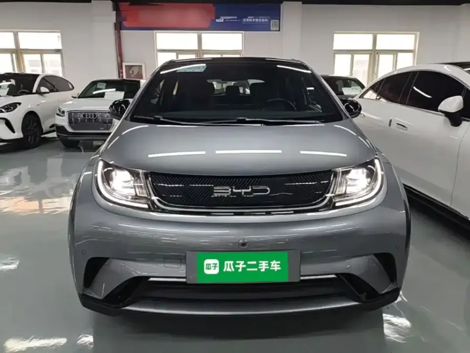 BYD Dolphin