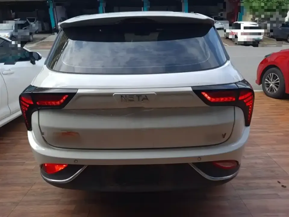 Neta Neta V
