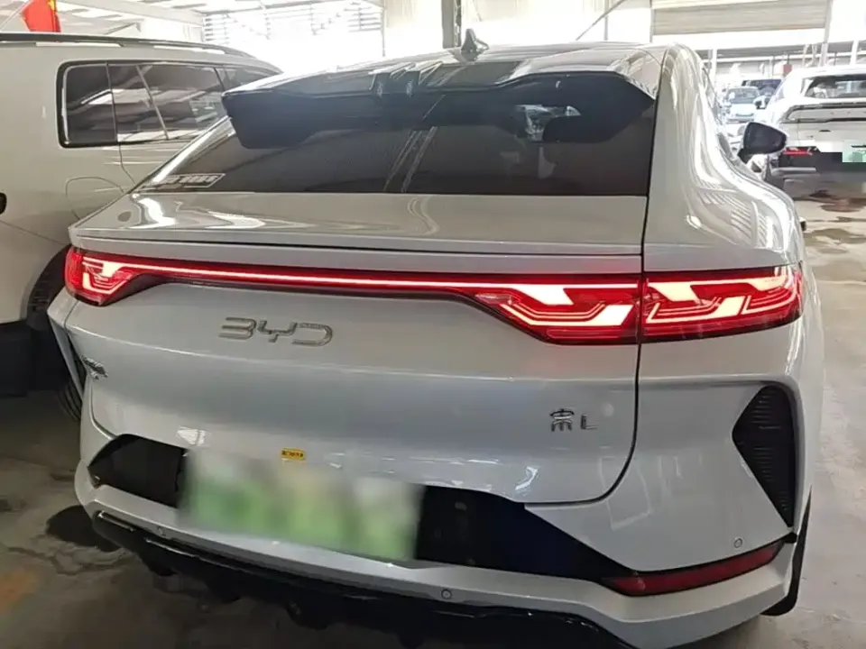 BYD L EV