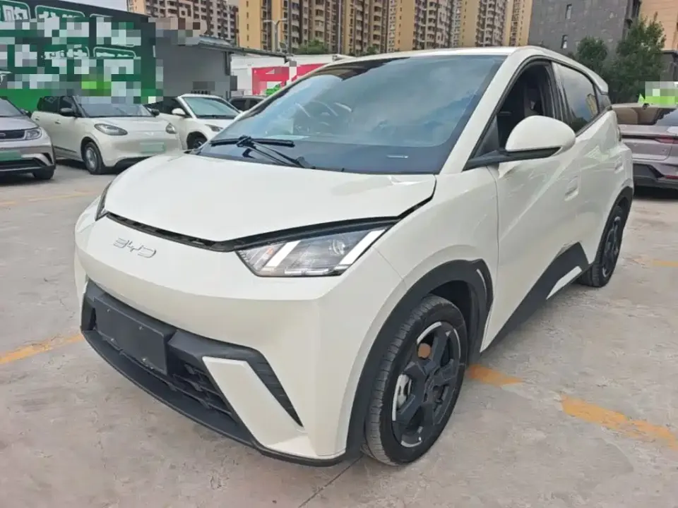 BYD Seagull