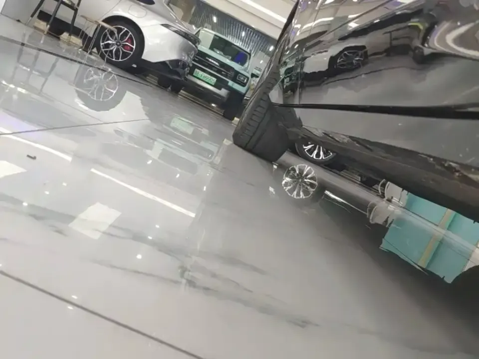 BYD L EV
