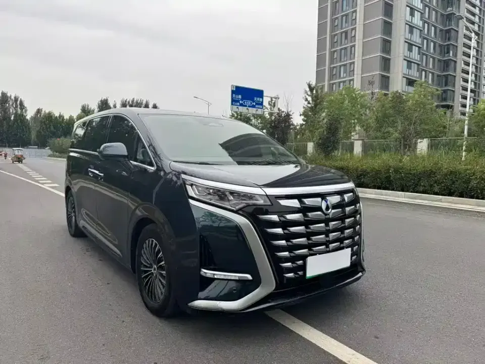 Denza Denza D9