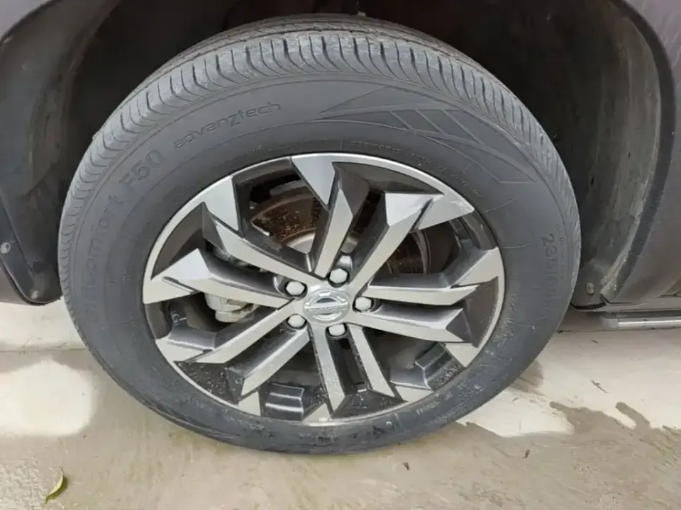 Haval Big Dog