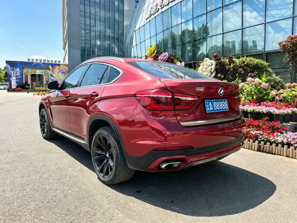 BMW X6