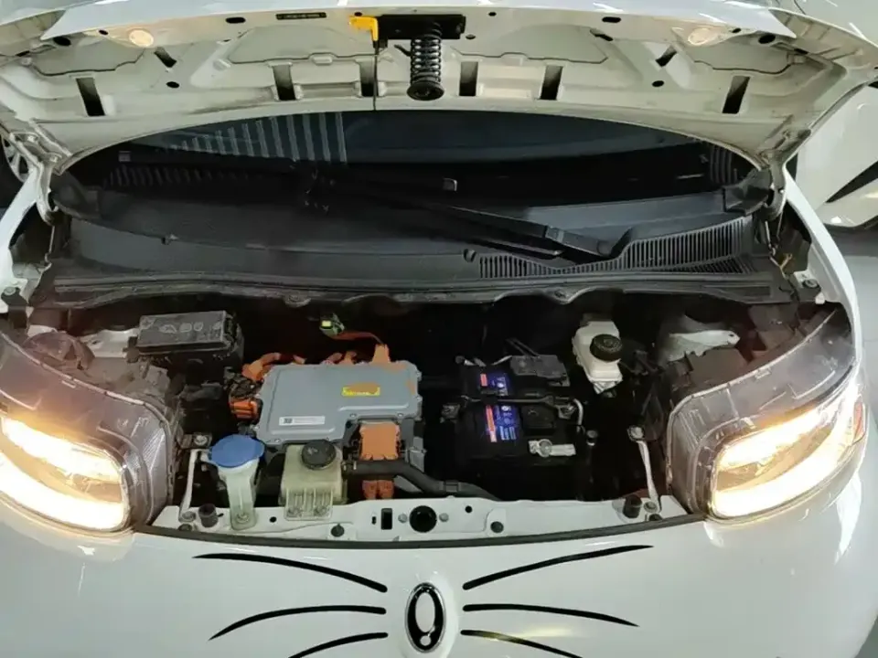 ORA Ora White Cat