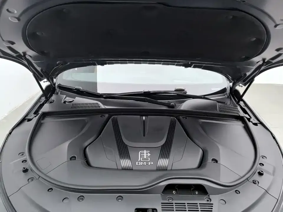 BYD Tang New Energy