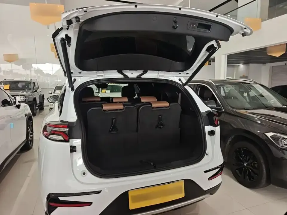 BYD Tang New Energy