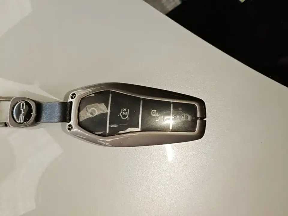 BYD L EV