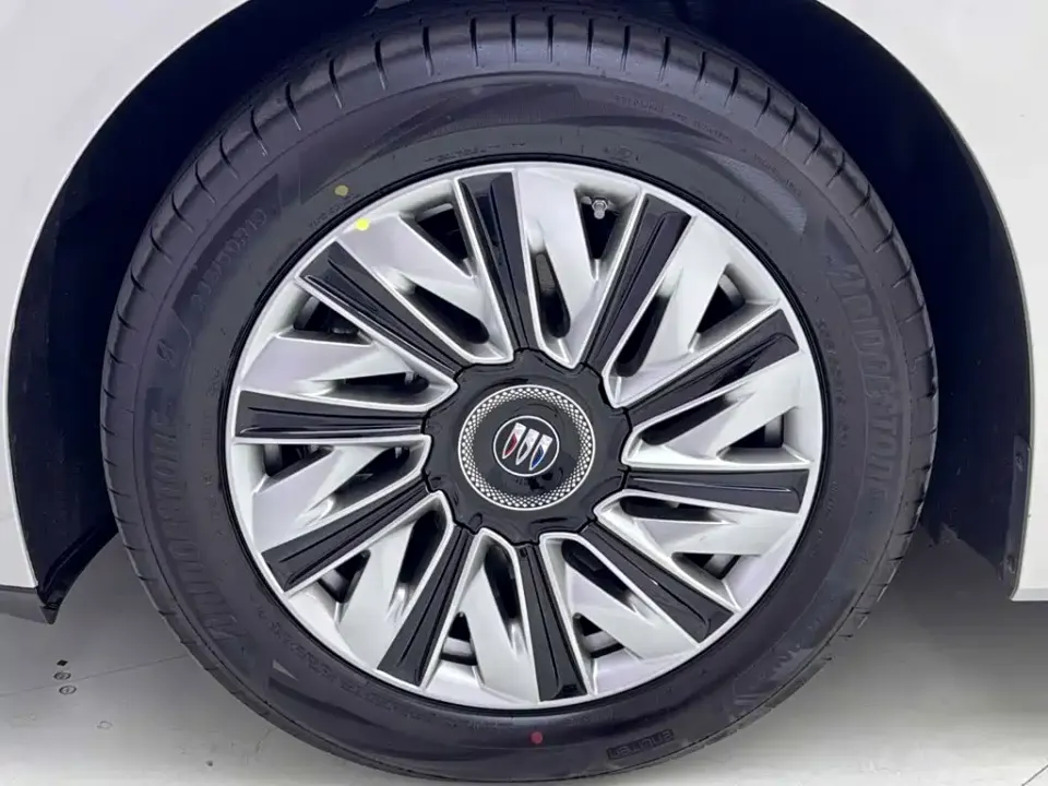 Buick Electra Encasa