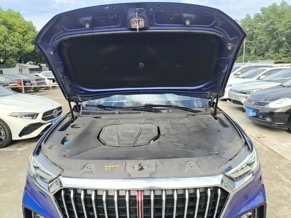 Hongqi Hongqi HS5