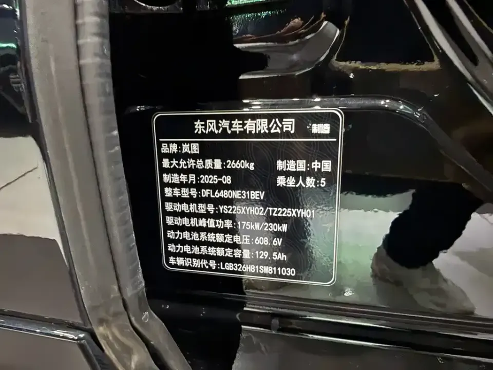 Voyah Zhiyin