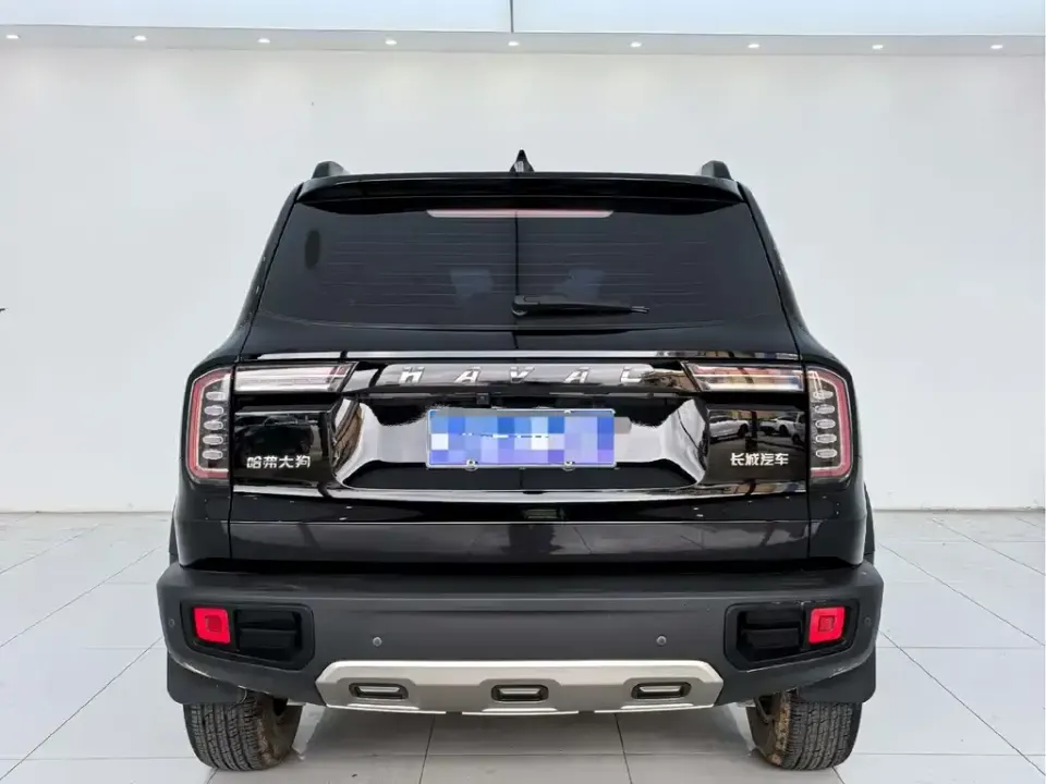 Haval Big Dog
