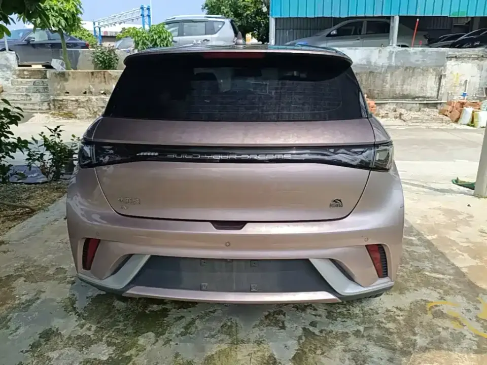 BYD Dolphin