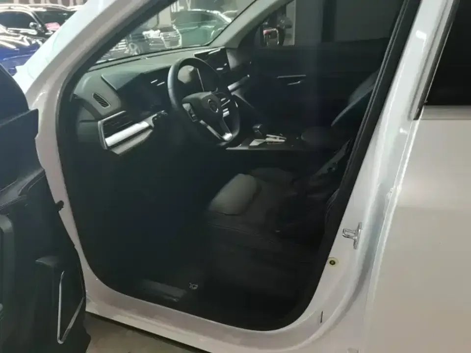 BYD Pro