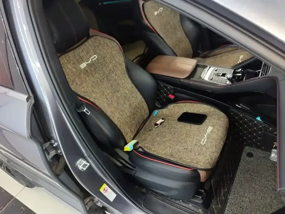 BYD PLUS