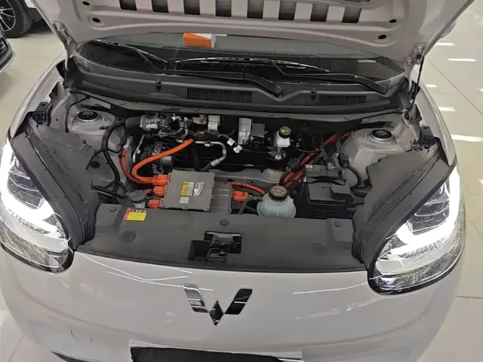 Wuling Bingo