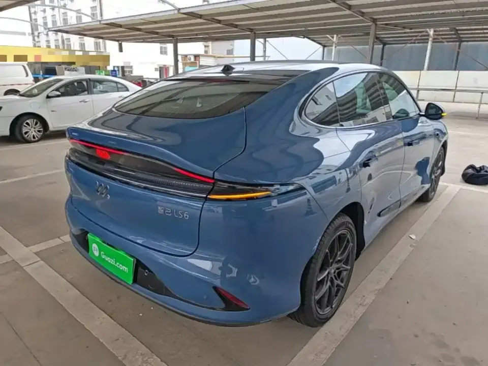 IM Motors IM LS6