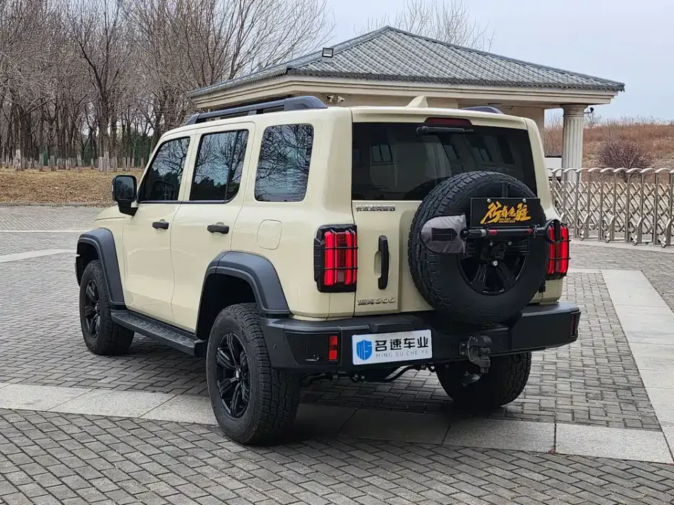 Tank 300