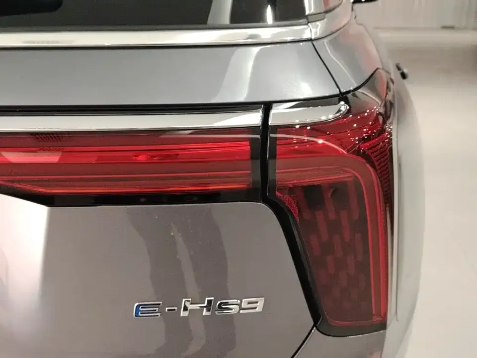 Hongqi Hongqi E-HS9