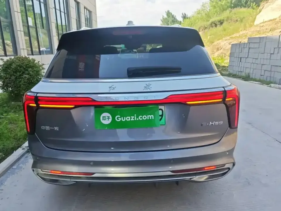 Hongqi Hongqi E-HS9
