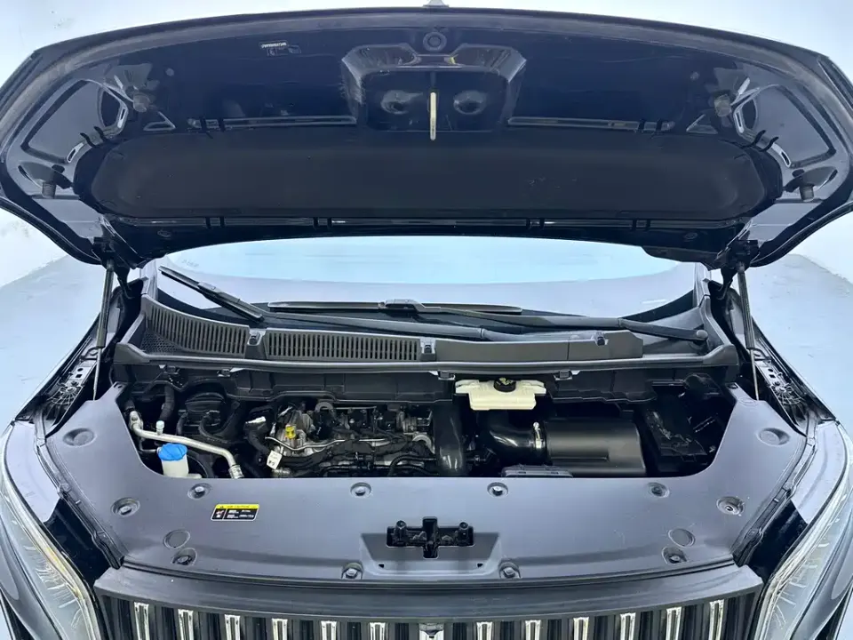 Hongqi Hongqi HQ9