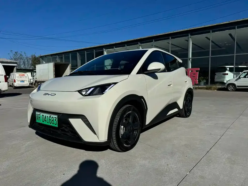 BYD Seagull